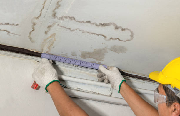 Reliable Water Damage contractor in North Bend, OR by Water Damage Irwin